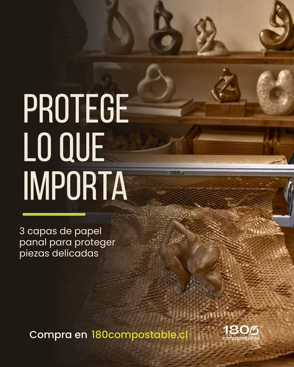 🏺 Lo delicado merece una protección especial.