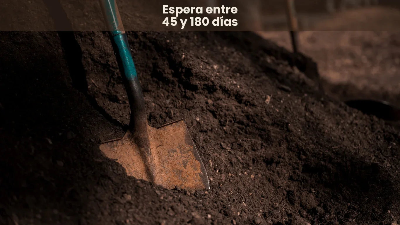 Espera entre 45 y 180 días